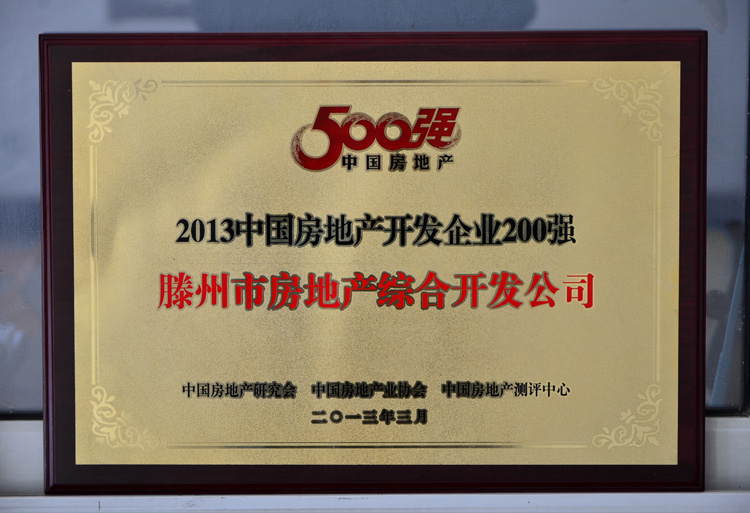 13-3-2013中國(guó)房地產(chǎn)開(kāi)發(fā)企業(yè)200強(qiáng).jpg