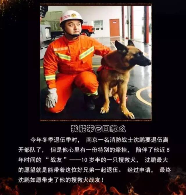 浴火重生的逆行者，肌肉越大責任越大，這才是真漢子——中國消防員(圖23)