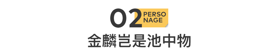 51歲黃光裕出獄：12年前，身價430億的他，得罪了誰？(圖8)