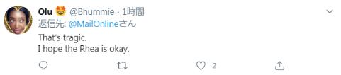 剛確診新冠一星期，巴西總統(tǒng)喂鴕鳥時又被咬了，網友卻希望“鳥沒事”(圖5)