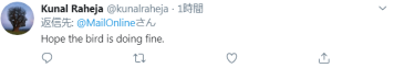 剛確診新冠一星期，巴西總統(tǒng)喂鴕鳥時又被咬了，網友卻希望“鳥沒事”(圖4)