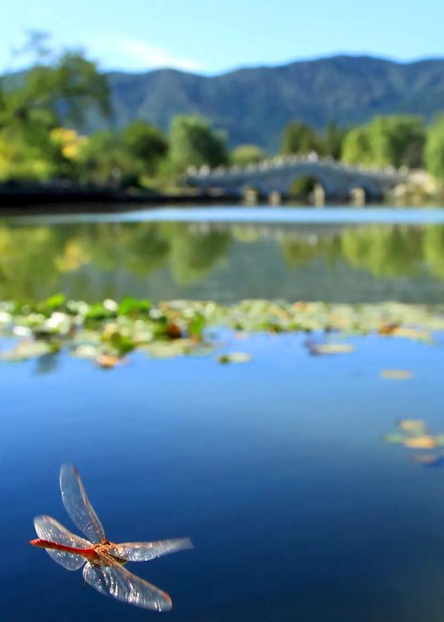 今日大暑丨迎風(fēng)沐雨，憧憬未來(lái)(圖5)