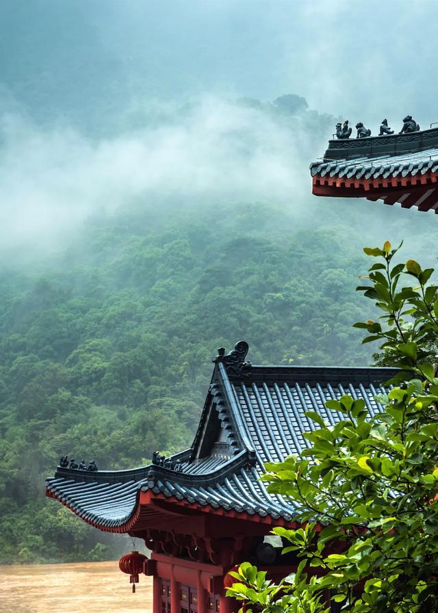 今日大暑丨迎風(fēng)沐雨，憧憬未來(lái)(圖3)