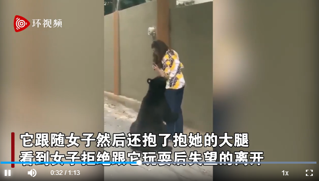 屢犯不改？墨西哥一只曾嗅女游客的黑熊又抱女子大腿 游客鎮(zhèn)定自拍