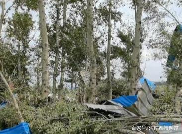 綏化突遭龍卷風(fēng)襲擊，房蓋在天上飛！村民：我70歲沒見過這事(圖6)