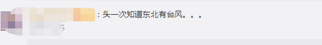 臺風(fēng)“美莎克”致吉林玉米大面積倒伏，像棉被一樣鋪在地上，減產(chǎn)已成定局(圖2)