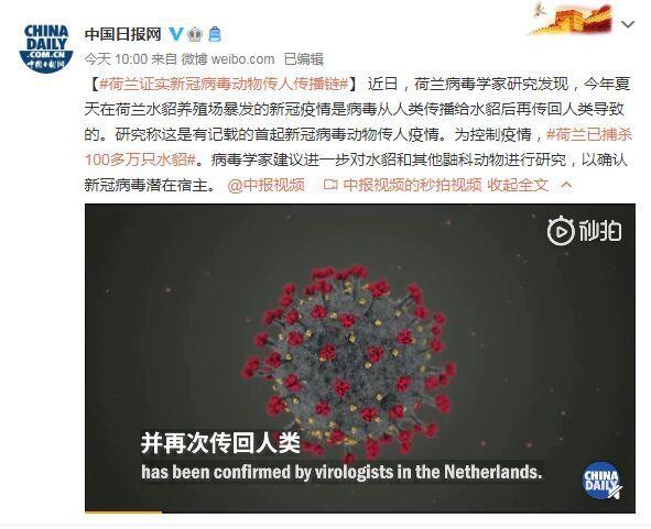 首起！荷蘭證實新冠病毒動物傳人疫情鏈條：病毒從人類傳播給水貂后再傳回人類