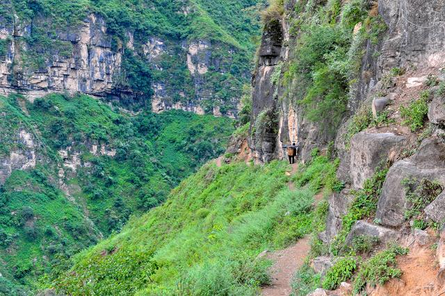 四川批準(zhǔn)涼山7縣摘帽脫貧！全省88個貧困縣全部清零