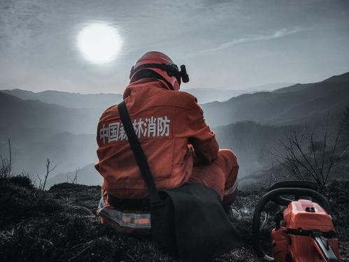 森林消防員的“法寶”你了解多少？(圖1)