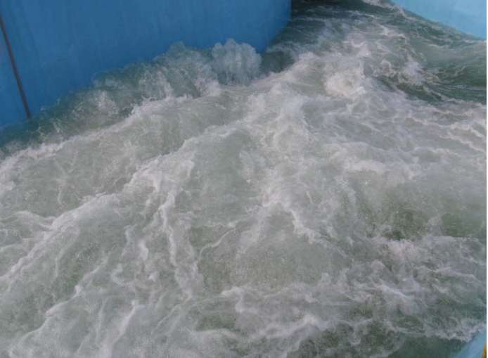 水域救援：水域救援的基礎知識(圖13)